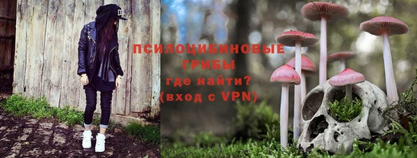 первитин Алексеевка